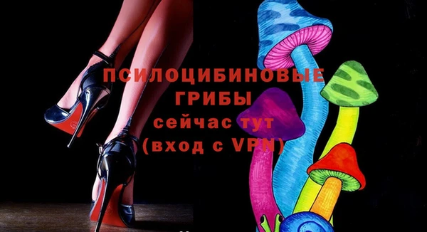 дурь Каменногорск