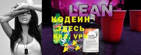 прущая мука Каменка