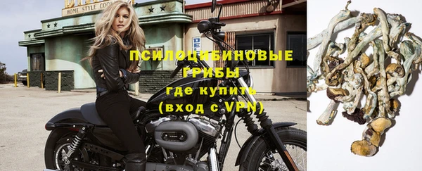 дурь Каменногорск
